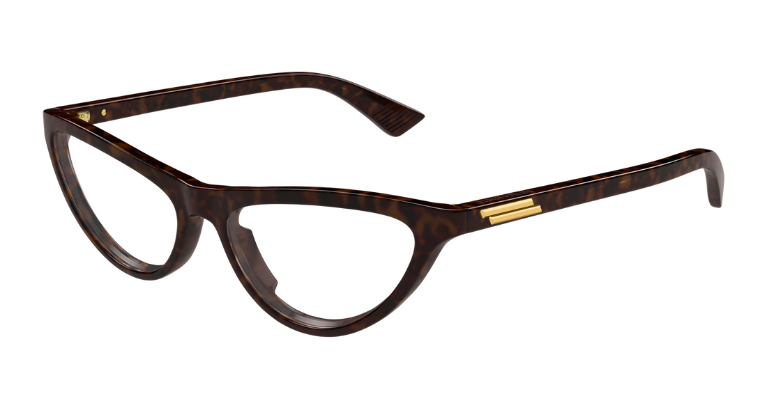 Briller bottega veneta bv1416o 002 havana cat eye femenino størrelse 55mm - Hovedvisning