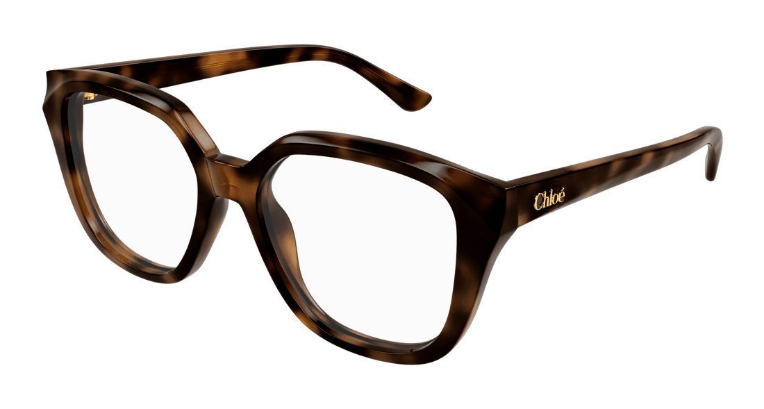 Brillen chloé ch0293o 002 havana square femenino größe 53mm - Hauptansicht
