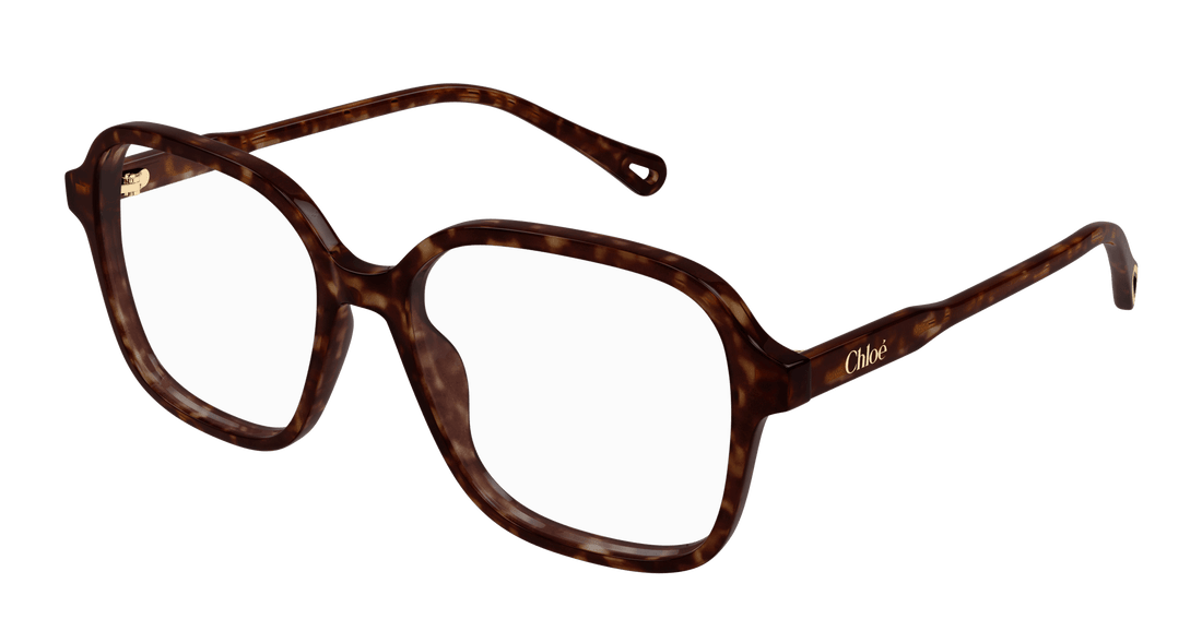 Brillen chloé ch0313o 002 havana square femenino größe 54mm - Hauptansicht