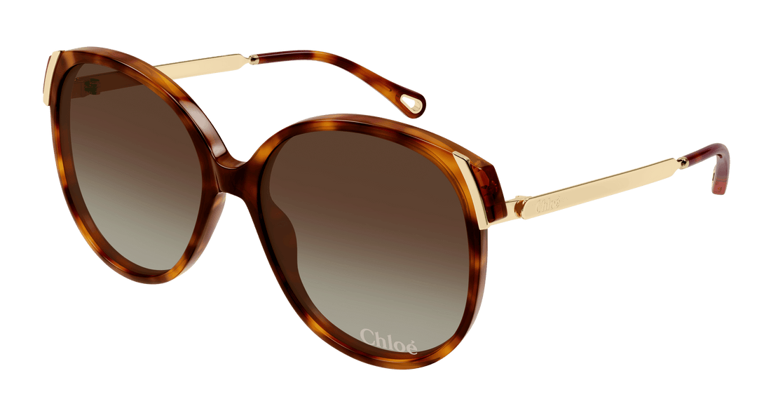 Solglasögon chloé ch0285s 002 havana square femenino storlek 58mm - Huvudvy
