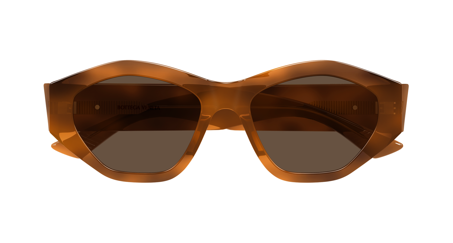 Bottega Veneta BV1408S 002 53