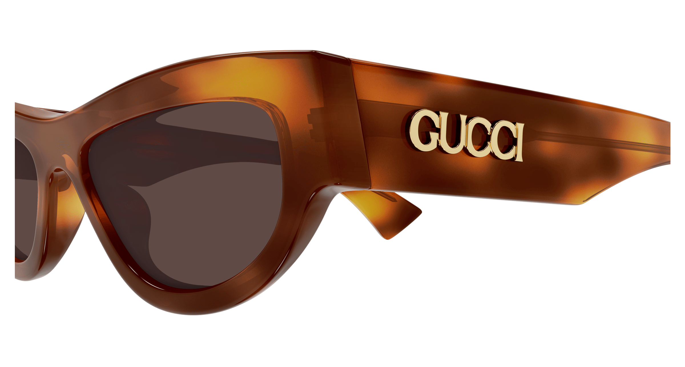 GUCCI GG1834S 002 53