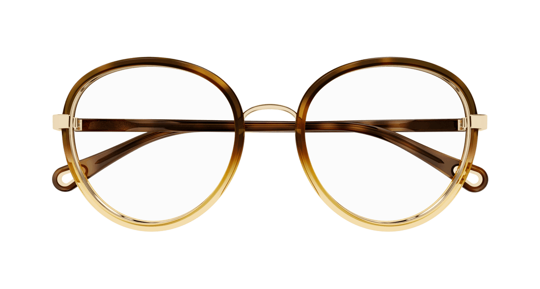 Occhiali da vista chloé ch0308o 002 havana round femenino taglia 53mm - Vista dettagliata