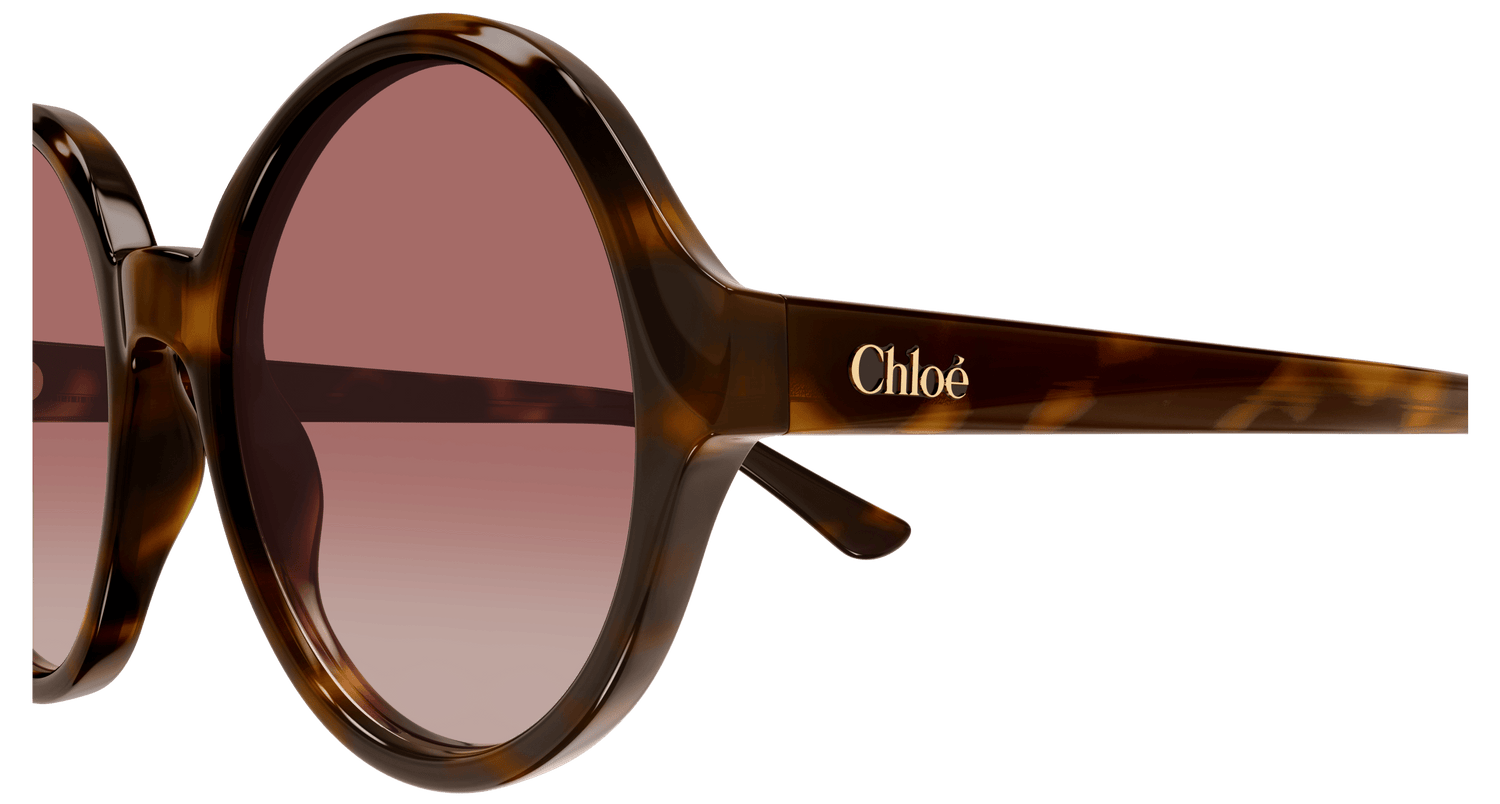 CHLOÉ CH0290S 003 57