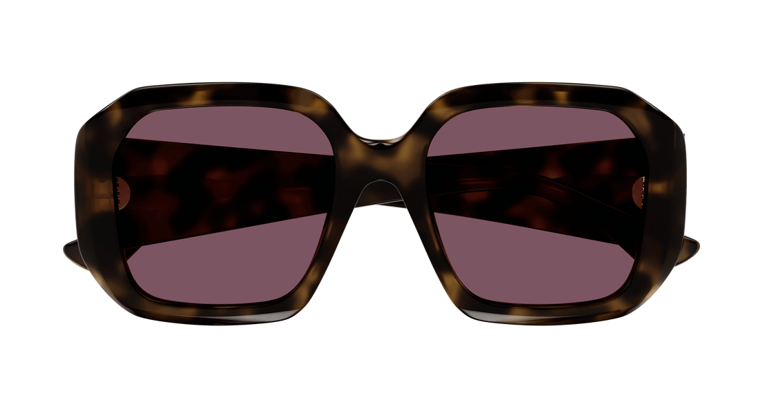Gafas de sol chloé ch0300s 002 havana square femenino talla 54mm - Vista de detalle