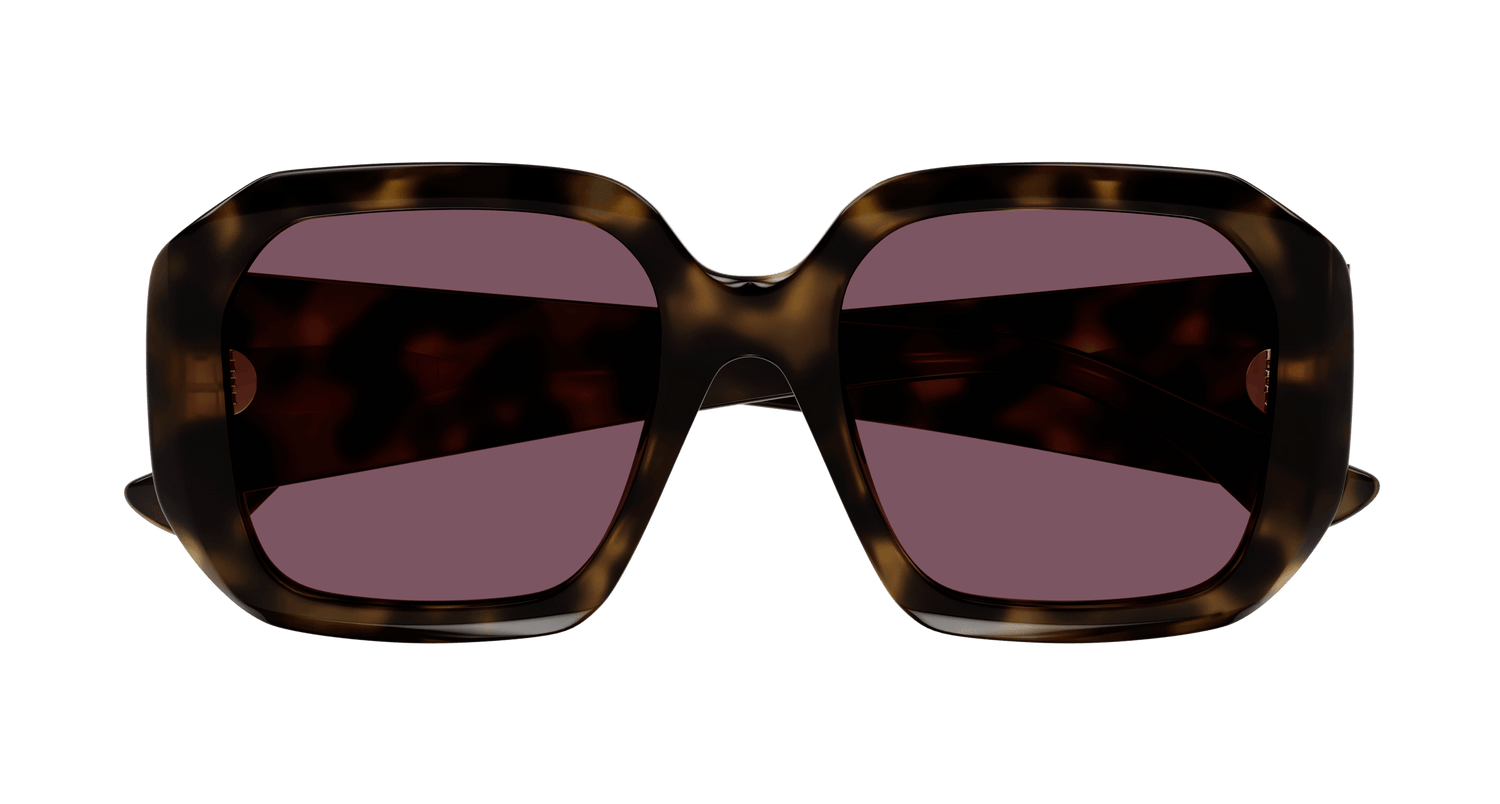 CHLOÉ CH0300S 002 54