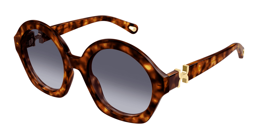 Solglasögon chloé ch0302s 002 havana round femenino storlek 53mm - Huvudvy