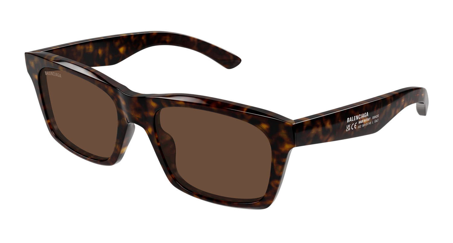 BALENCIAGA BB0423S 002 56