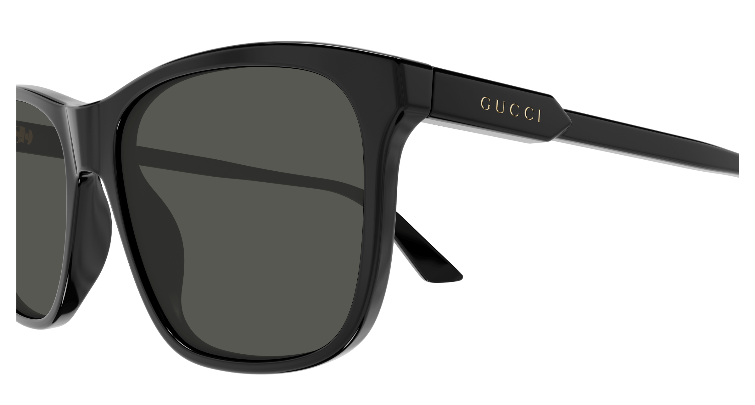 GUCCI GG1819S 001 57