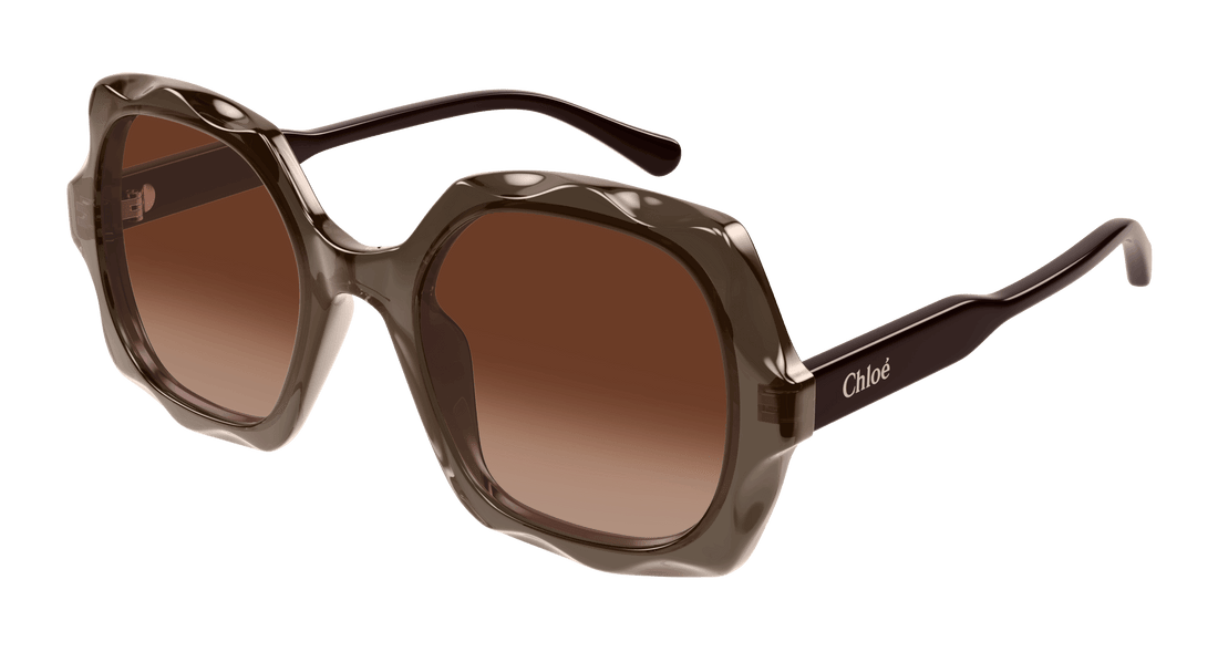 Gafas de sol chloé ch0226s 007 marron square femenino talla 53mm - Vista principal
