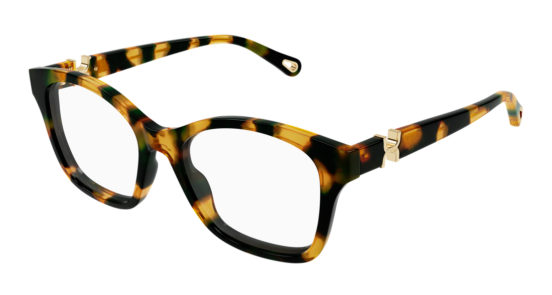 Glasögon chloé ch0334o 002 havana cat eye femenino storlek 50mm - Huvudvy