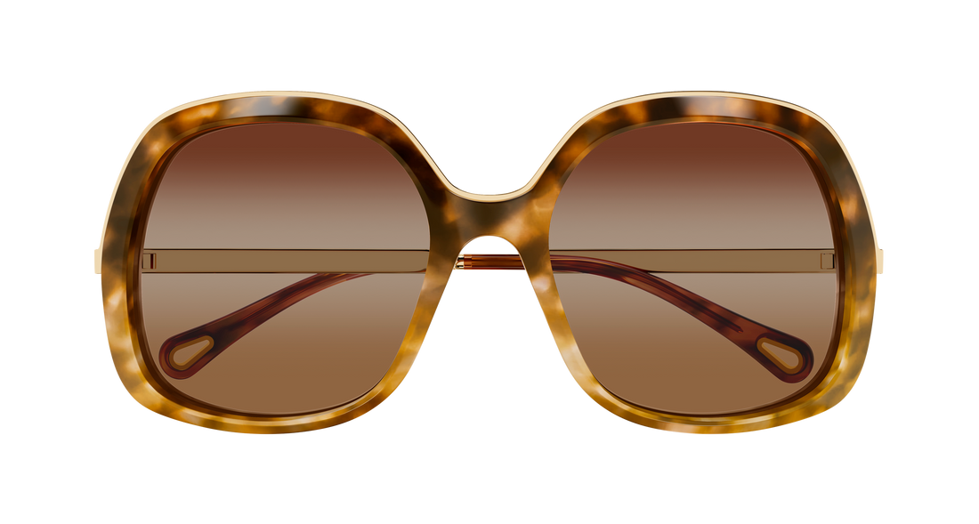 Óculos de sol chloé ch0327s 002 havana rectangular / squared femenino tamanho 56mm - Vista de detalhe