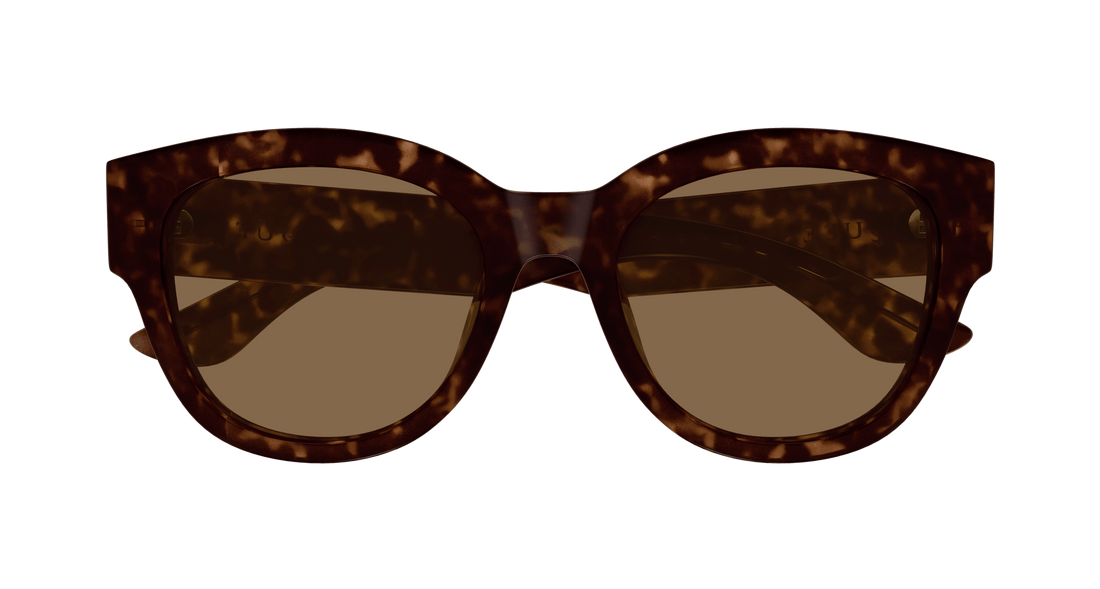 Gafas de sol alexander mcqueen am0509sa 002 havana cat eye femenino talla 55mm - Vista de detalle