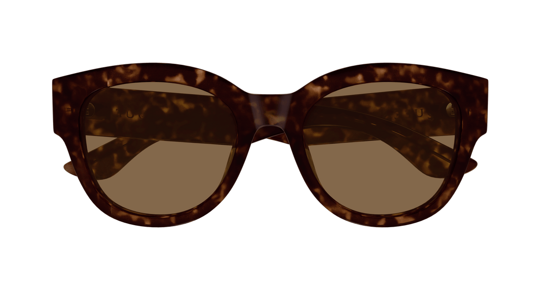 Solglasögon alexander mcqueen am0509sa 002 havana cat eye femenino storlek 55mm - Detaljvy
