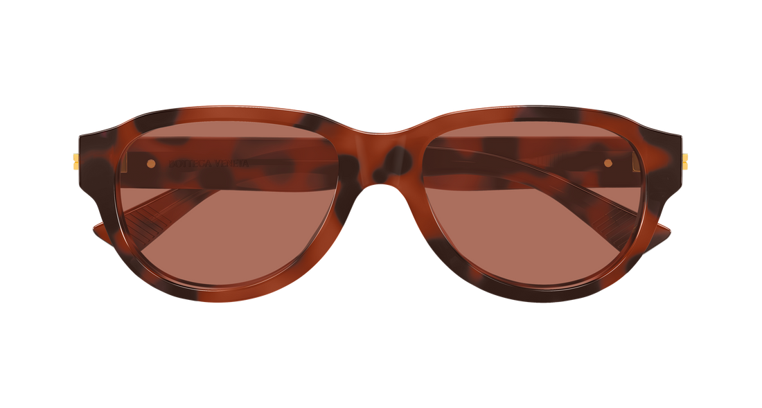 Sunglasses bottega veneta bv1410s 002 havana round/oval/panthos masculino size 55mm - Detailed view