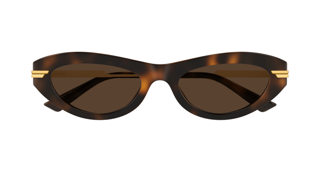 Occhiali da sole bottega veneta bv1368s 002 havana round femenino taglia 53mm - Vista dettagliata