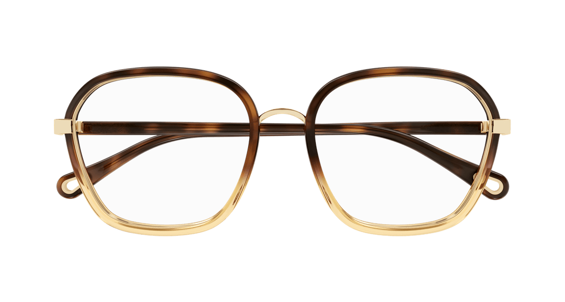 Glasögon chloé ch0309o 002 havana square femenino storlek 54mm - Detaljvy