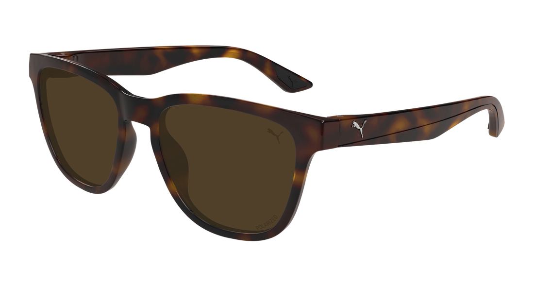 Lunettes de soleil puma pu0506s 002 havana rectangular / squared masculino taille 54mm - Vue principale