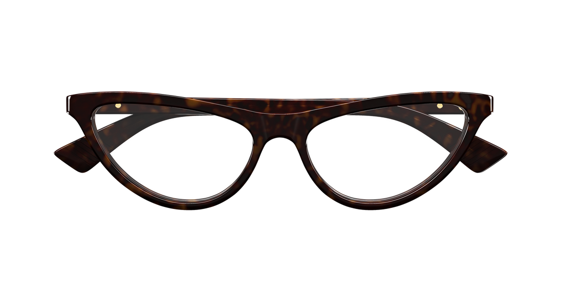 Briller bottega veneta bv1416o 002 havana cat eye femenino størrelse 55mm - Detaljeret visning