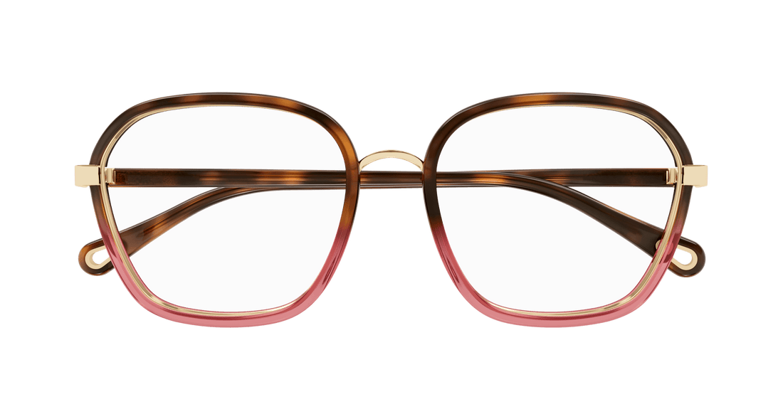 Glasögon chloé ch0309o 001 havana square femenino storlek 54mm - Detaljvy