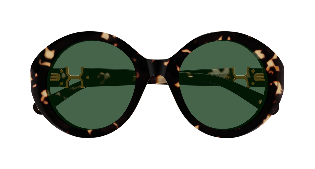 Occhiali da sole chloé ch0332s 002 havana round/oval/panthos femenino taglia 53mm - Vista dettagliata