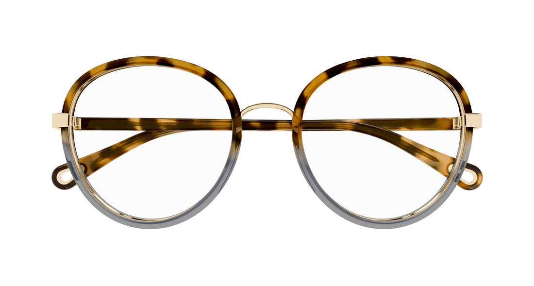 Glasögon chloé ch0308o 003 havana round femenino storlek 53mm - Detaljvy