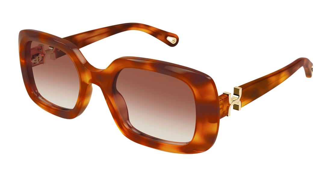 Occhiali da sole chloé ch0333s 003 havana rectangular / squared femenino taglia 53mm - Vista principale