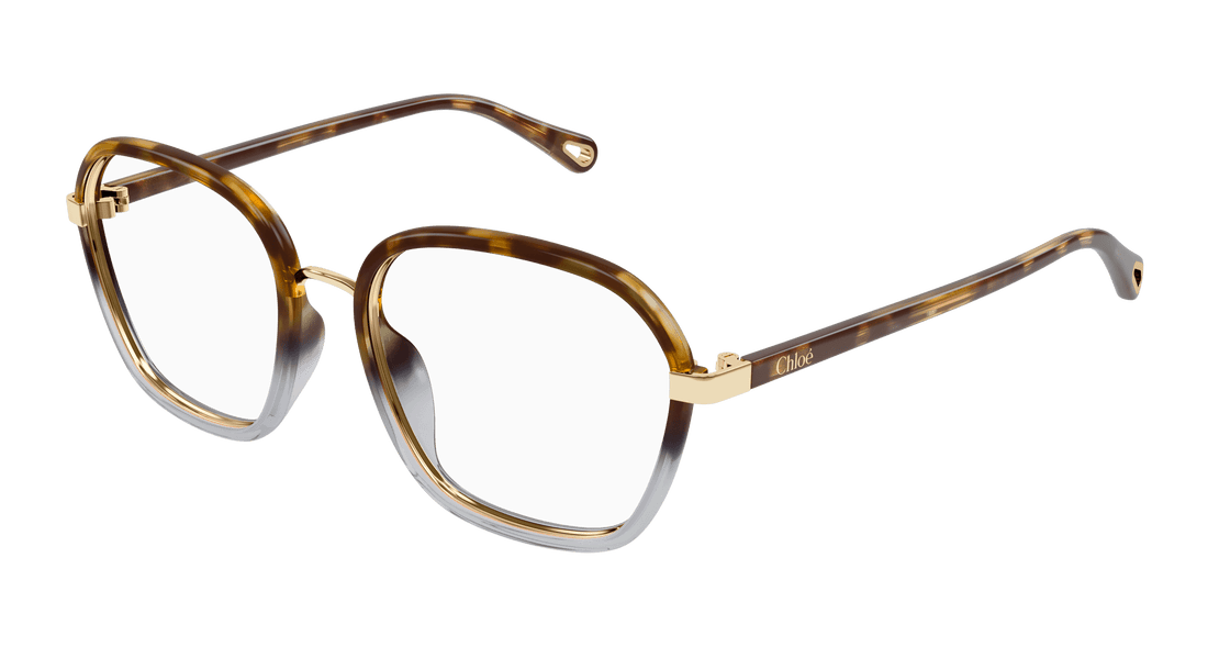Glasögon chloé ch0309o 003 havana square femenino storlek 54mm - Huvudvy