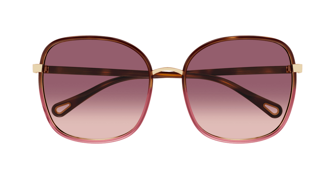 Gafas de sol chloé ch0031s 016 havana square femenino talla 56mm - Vista de detalle