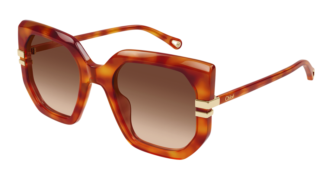 Occhiali da sole chloé ch0240s 007 havana geometric femenino taglia 53mm - Vista principale