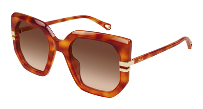 CHLOÉ CH0240S 007 53