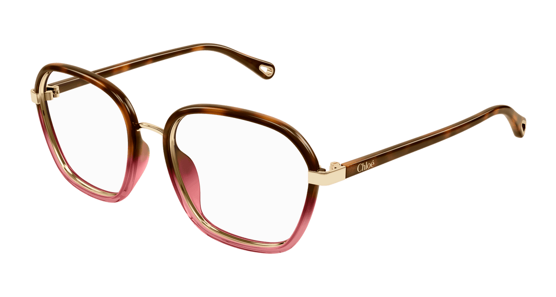 Glasögon chloé ch0309o 001 havana square femenino storlek 54mm - Huvudvy