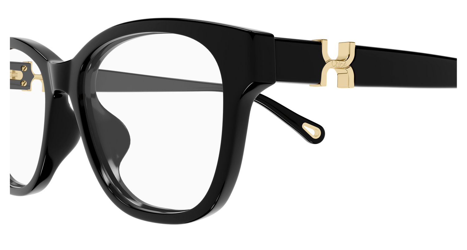 CHLOÉ CH0336OA 001 53