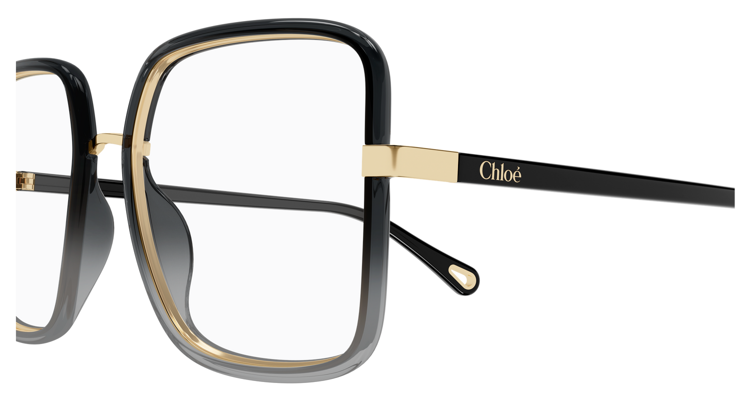 CHLOÉ CH0338O 001 55
