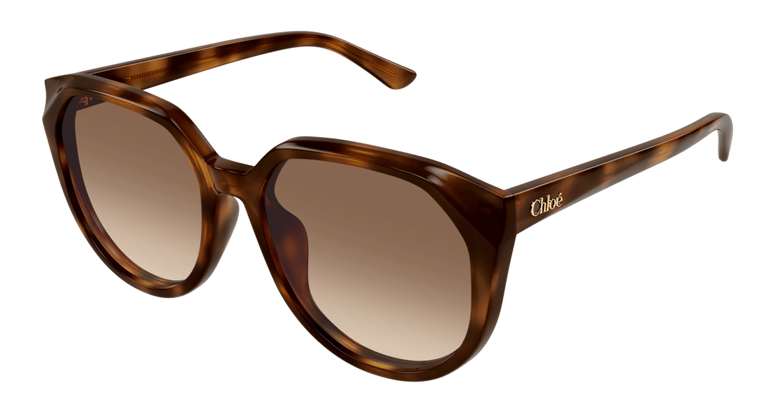 Gafas de sol chloé ch0291sk 003 havana square femenino talla 58mm - Vista principal