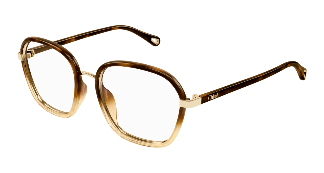 Glasögon chloé ch0309o 002 havana square femenino storlek 54mm - Huvudvy