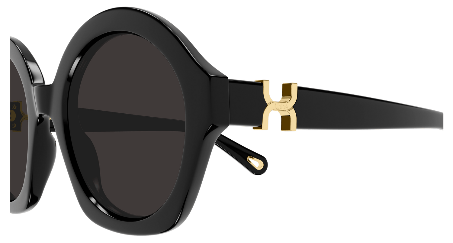 CHLOÉ CH0302S 001 53