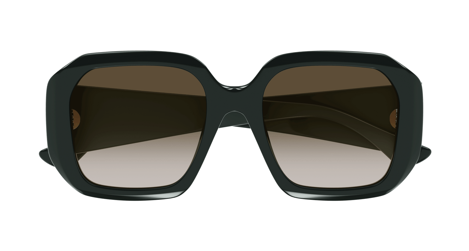 CHLOÉ CH0300S 003 54