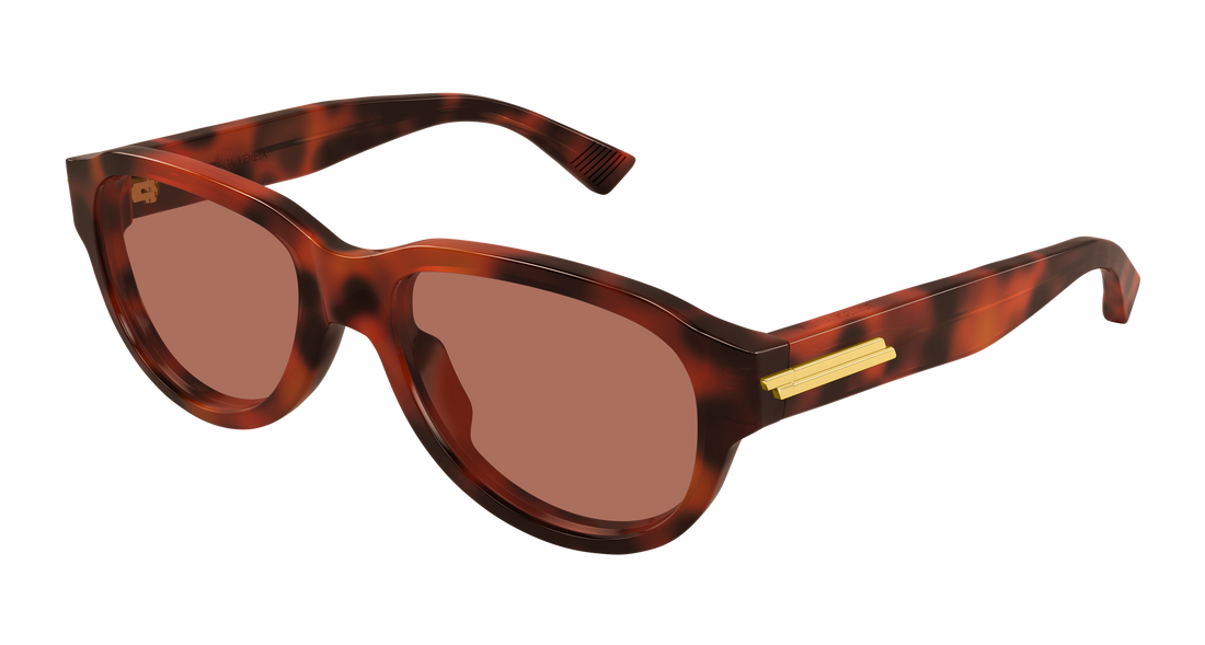 Sunglasses bottega veneta bv1410s 002 havana round/oval/panthos masculino size 55mm - Main view