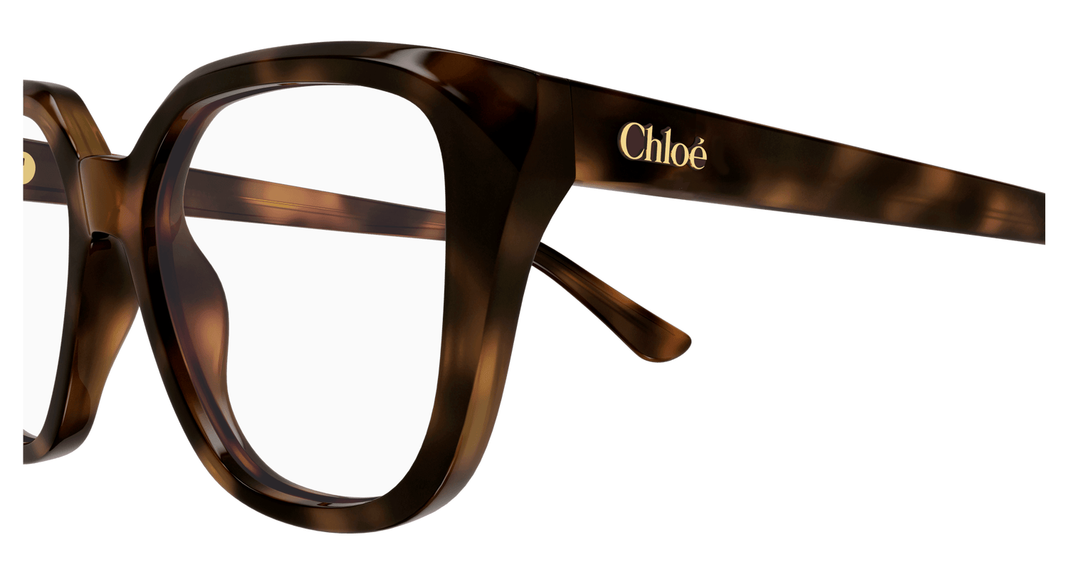 CHLOÉ CH0293O 002 53