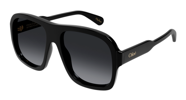 CHLOÉ CH0331S 001 58