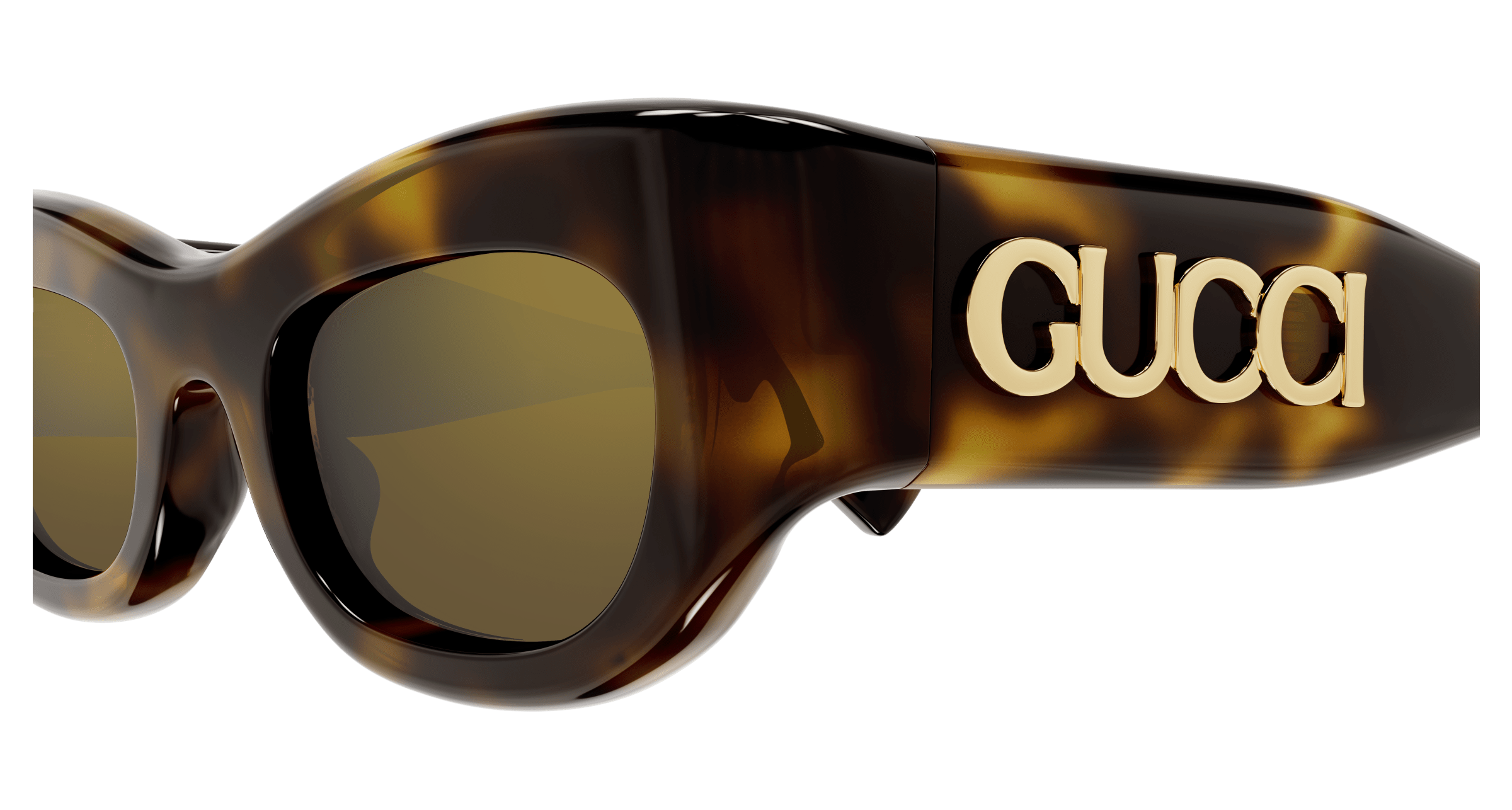 GUCCI GG1809S 003 51