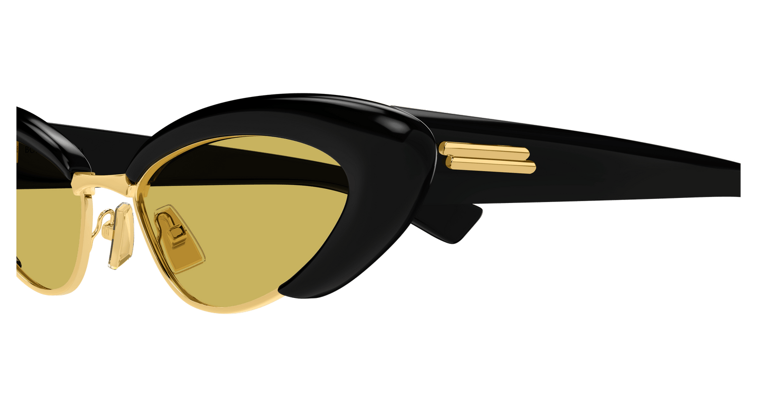 Bottega Veneta BV1387S 001 54