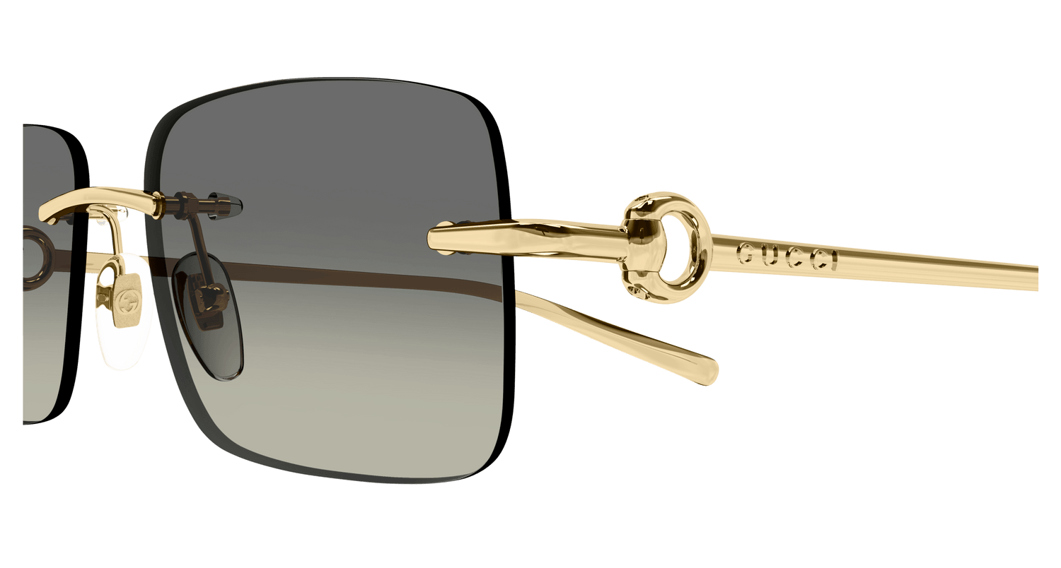 GUCCI GG1703S 005 55