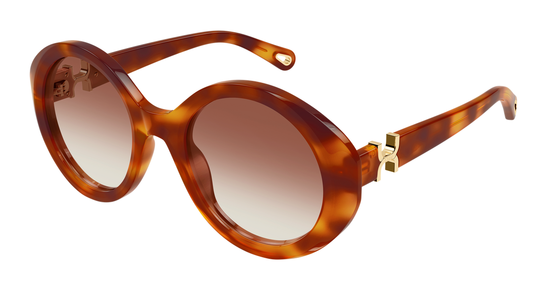 Occhiali da sole chloé ch0332s 003 havana round/oval/panthos femenino taglia 53mm - Vista principale