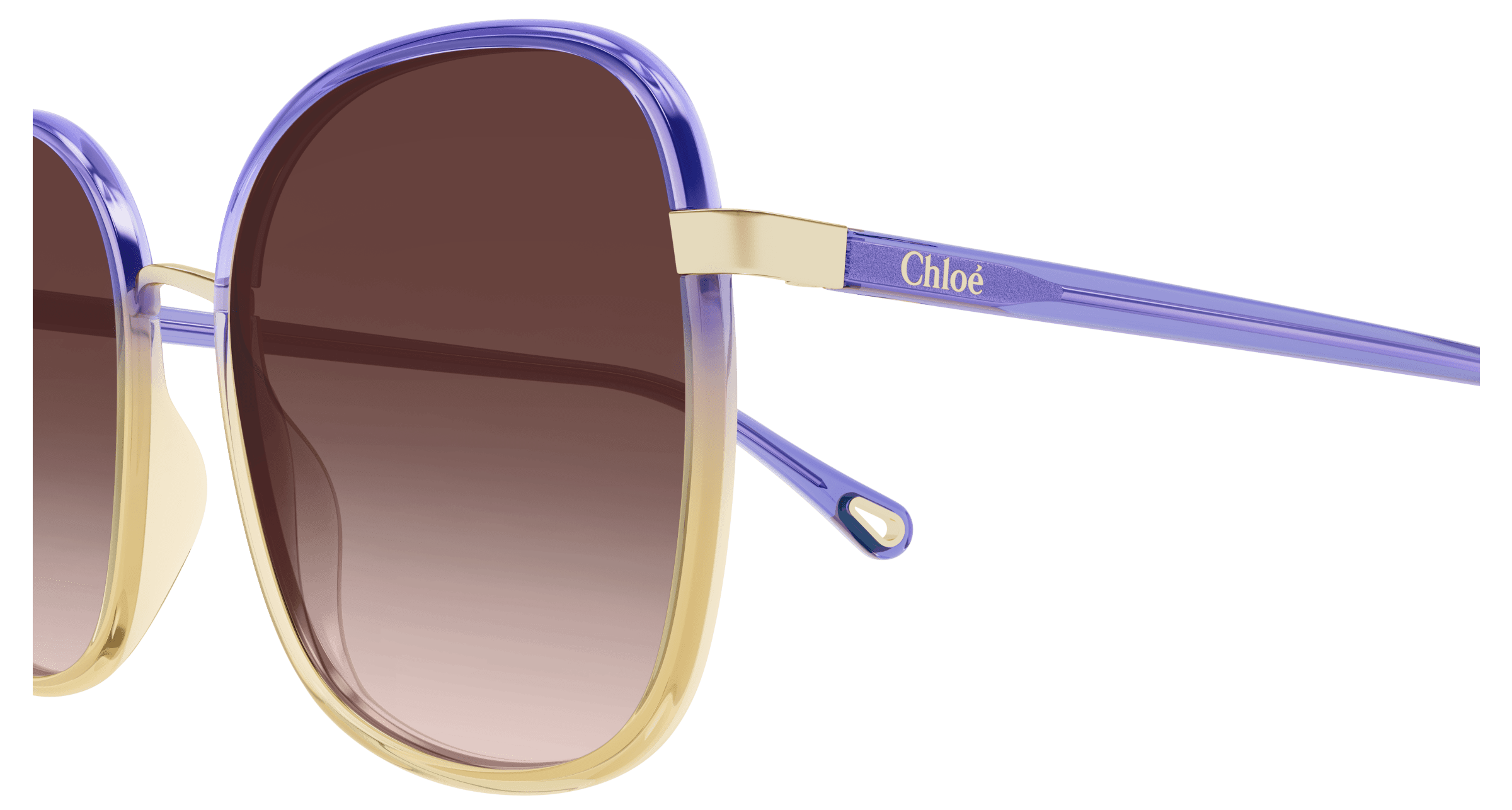 CHLOÉ CH0031S 017 59