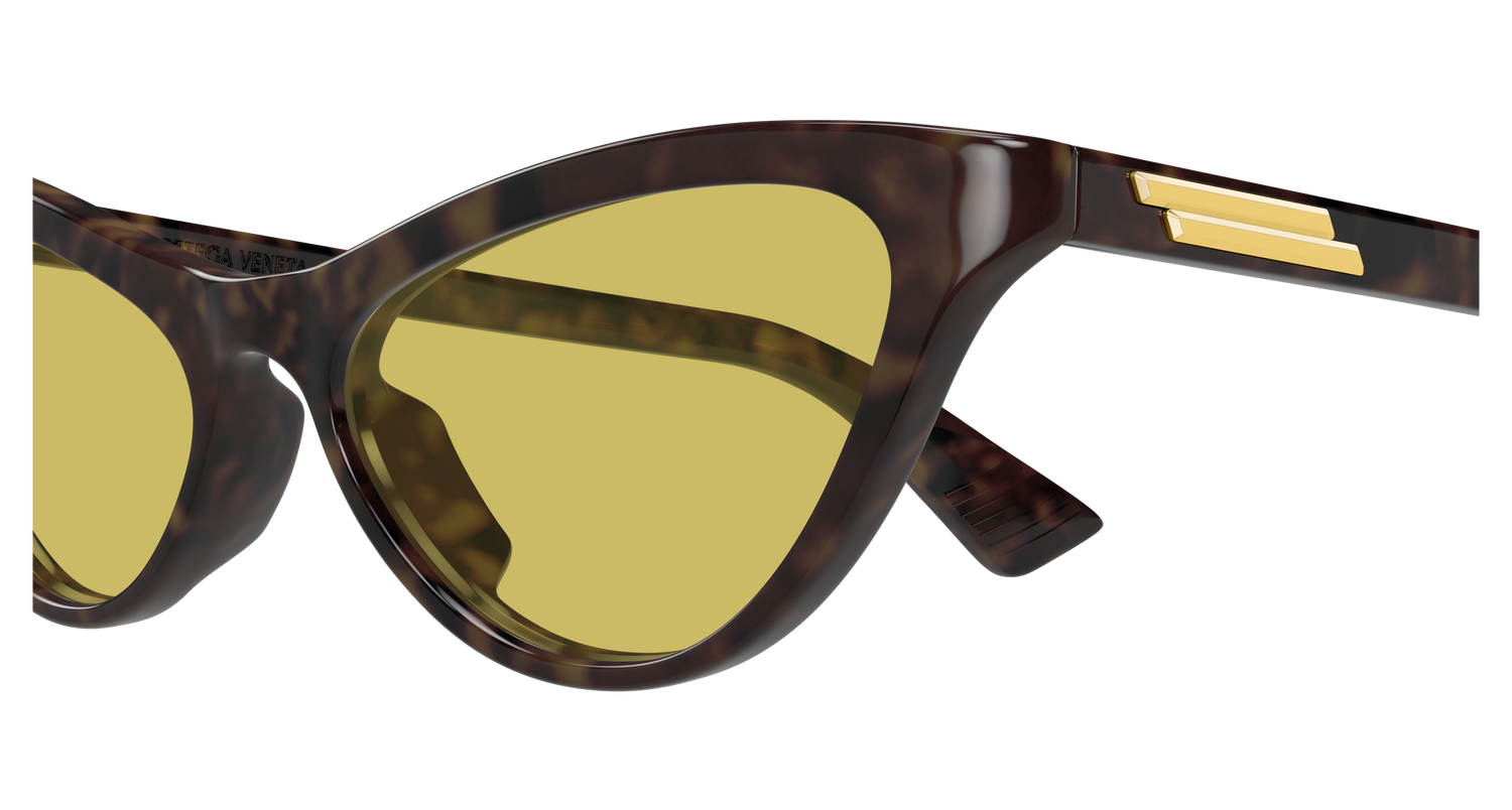 Bottega Veneta BV1414S 002 56