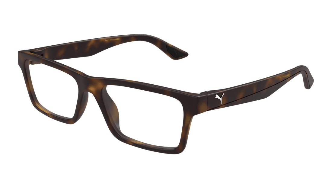 Brillen puma pu0487o 002 havana square masculino größe 56mm - Hauptansicht