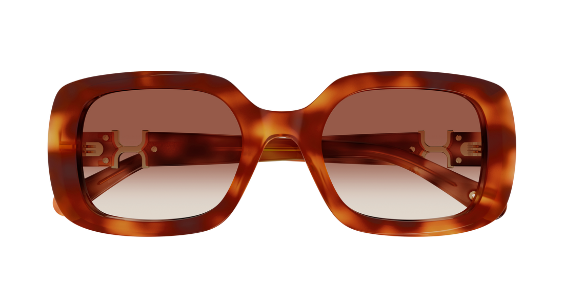 Occhiali da sole chloé ch0333s 003 havana rectangular / squared femenino taglia 53mm - Vista dettagliata