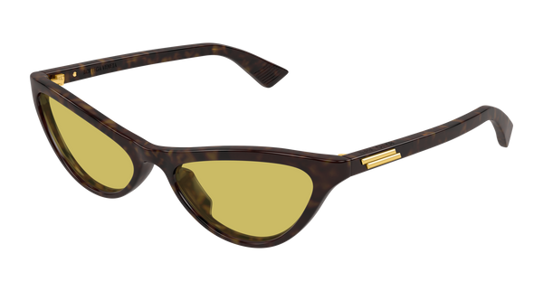 Bottega Veneta BV1414S 002 56